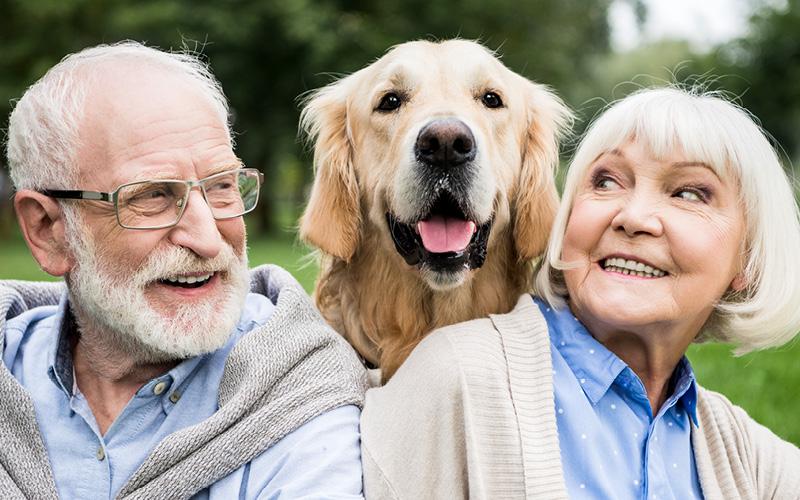 一对退休夫妇和他们的狗在外面很开心