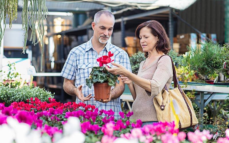 Couple buying a plant at the farmers market